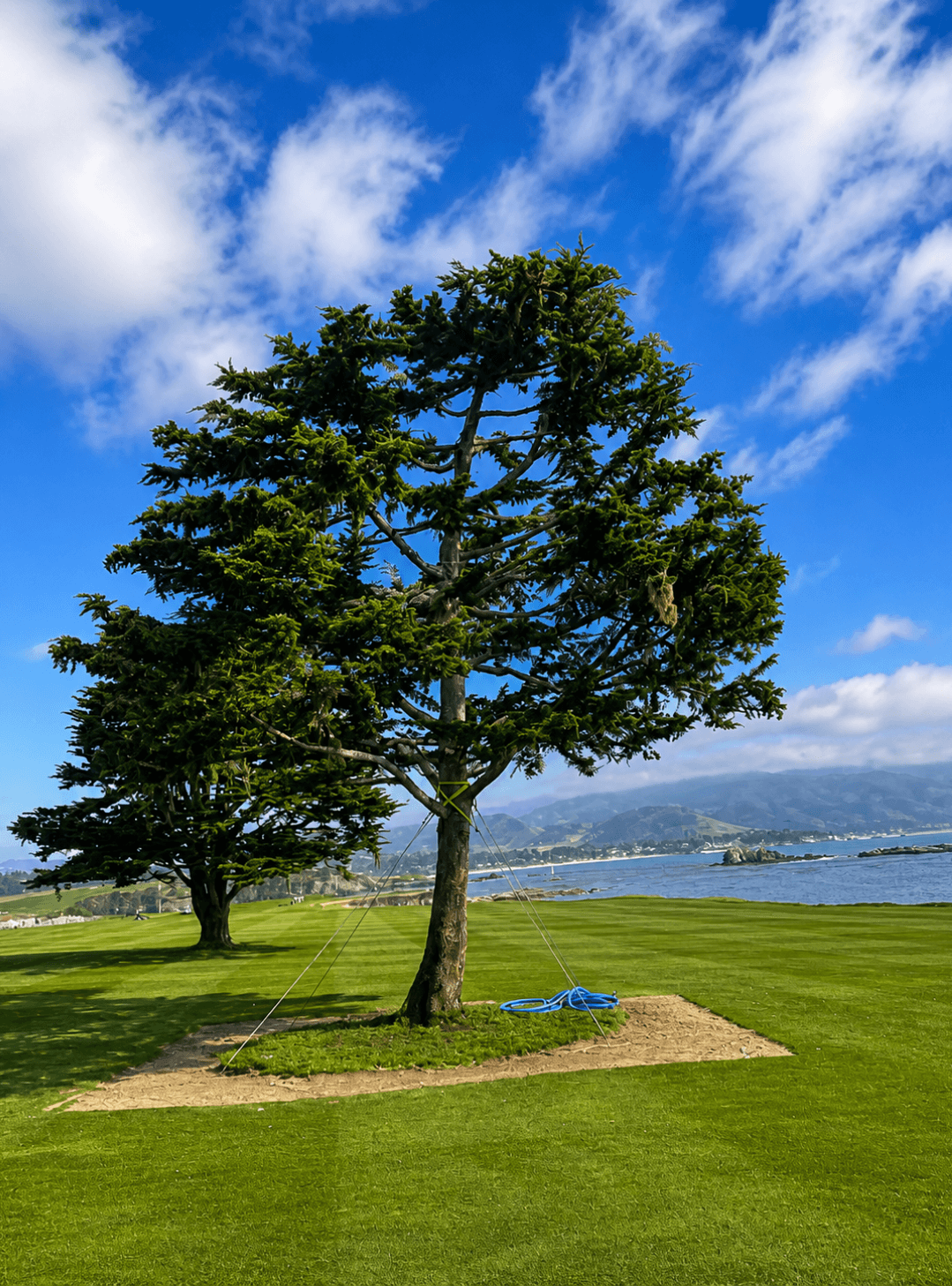 Pebble Beach -