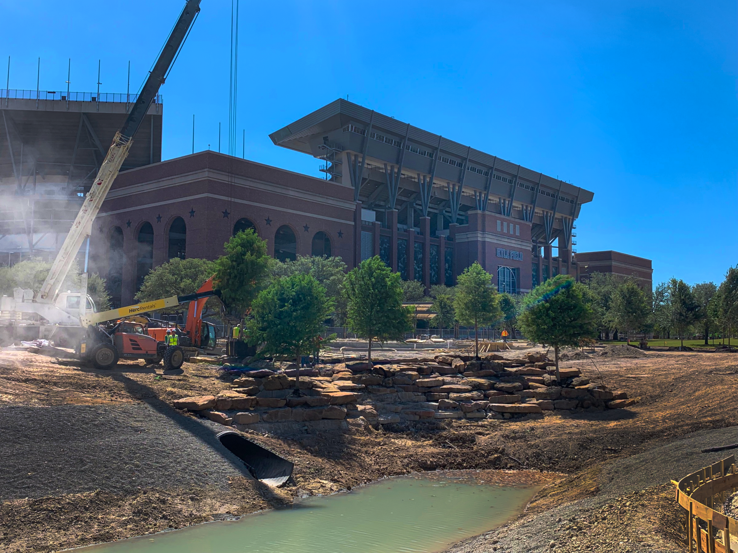 Tree installation at Aggie Park