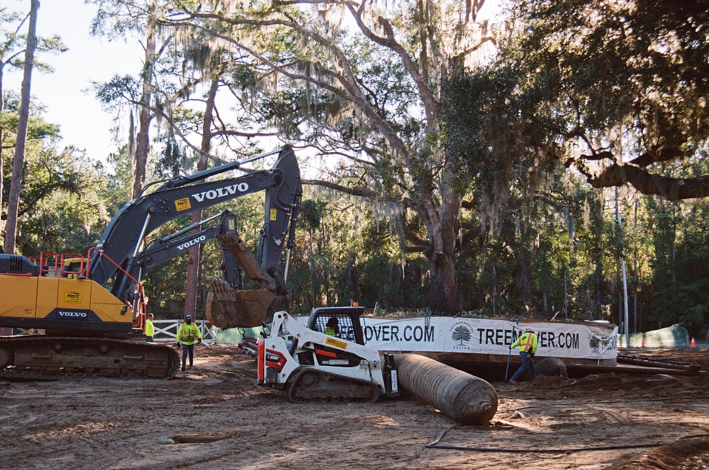Services - Tree Services Offered By Treemover.com & Environmental Design Inc. -
