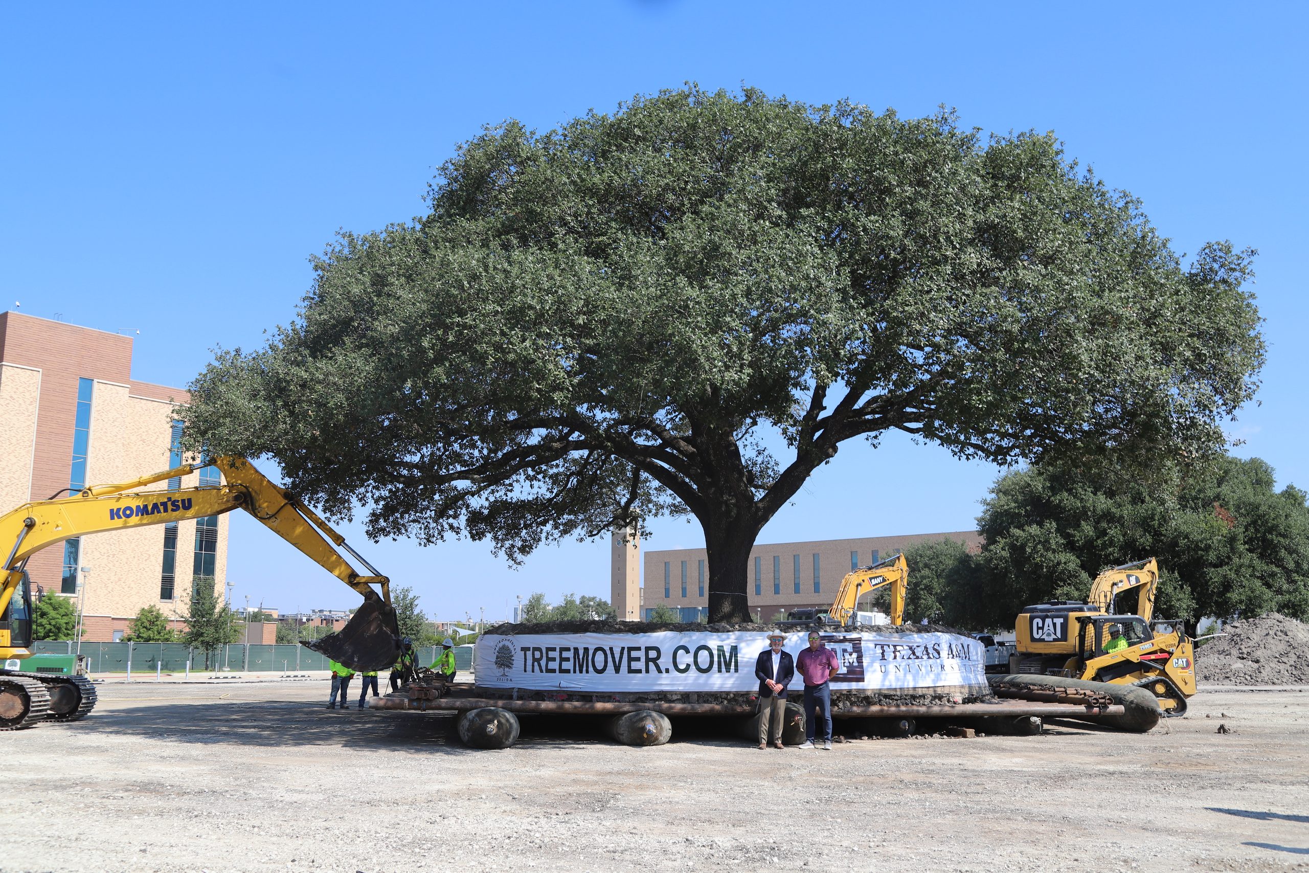 Large tree relocation at Texas A&M