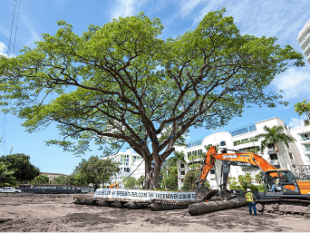 Home - Nationwide Tree Movers Environmental Design Inc. -