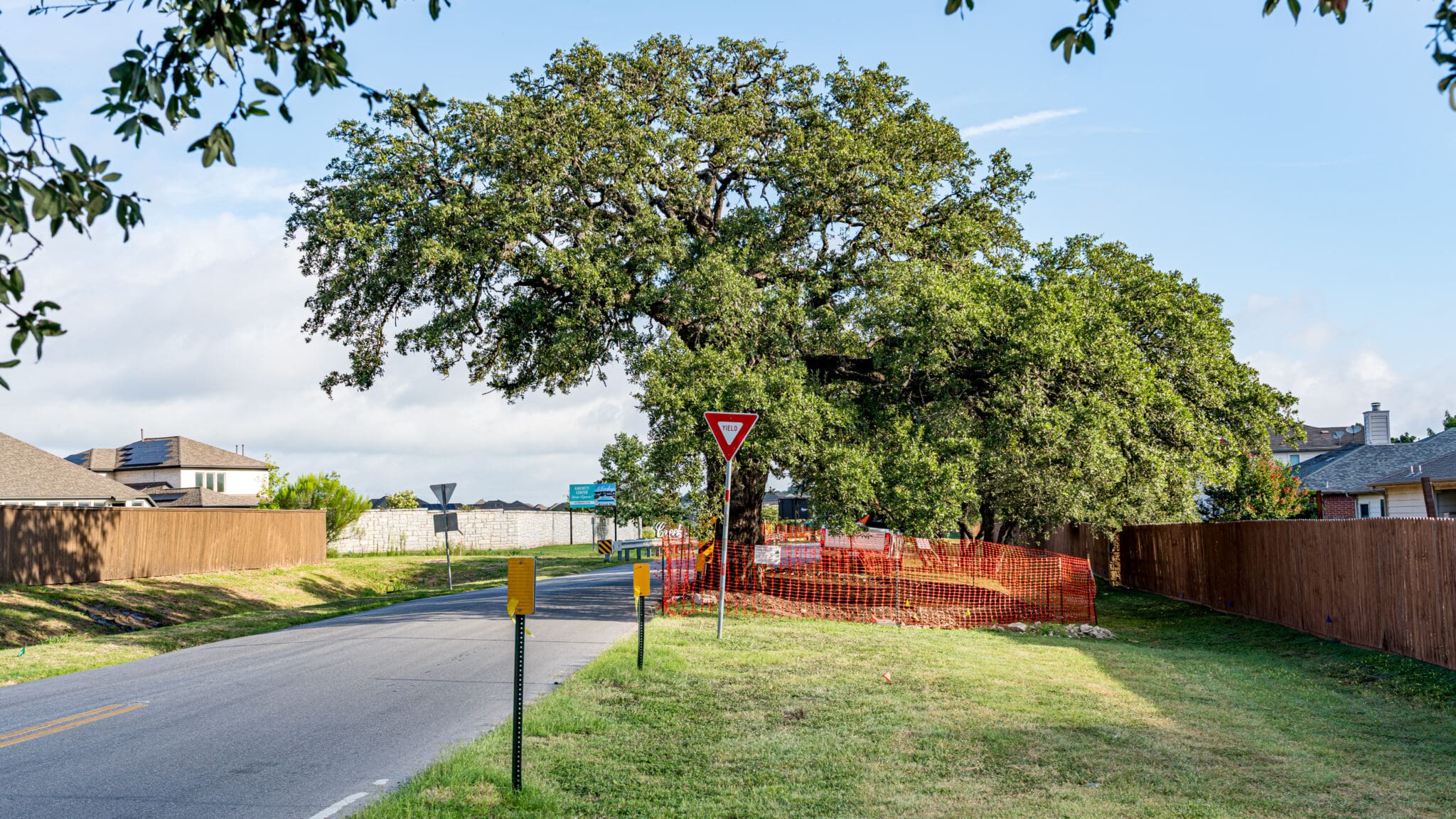 Preserving History: The Relocation of Kyle’s 400-Year-Old Oak Tree “Jolene”