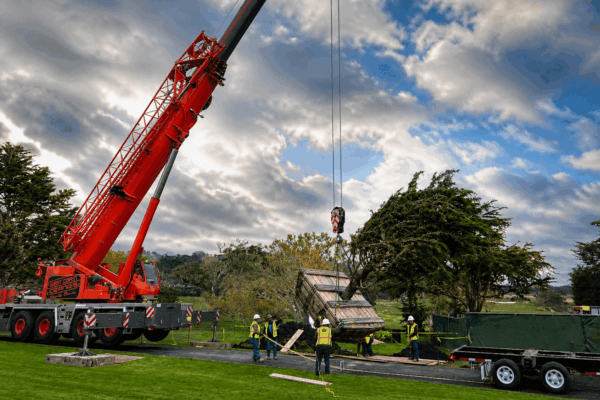 Pebble Beach - Box Tree - 2026 Move Pebble Beach - Box Tree - 2026 Move