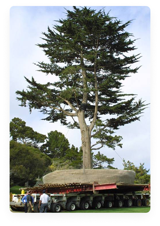 Pebble Beach -