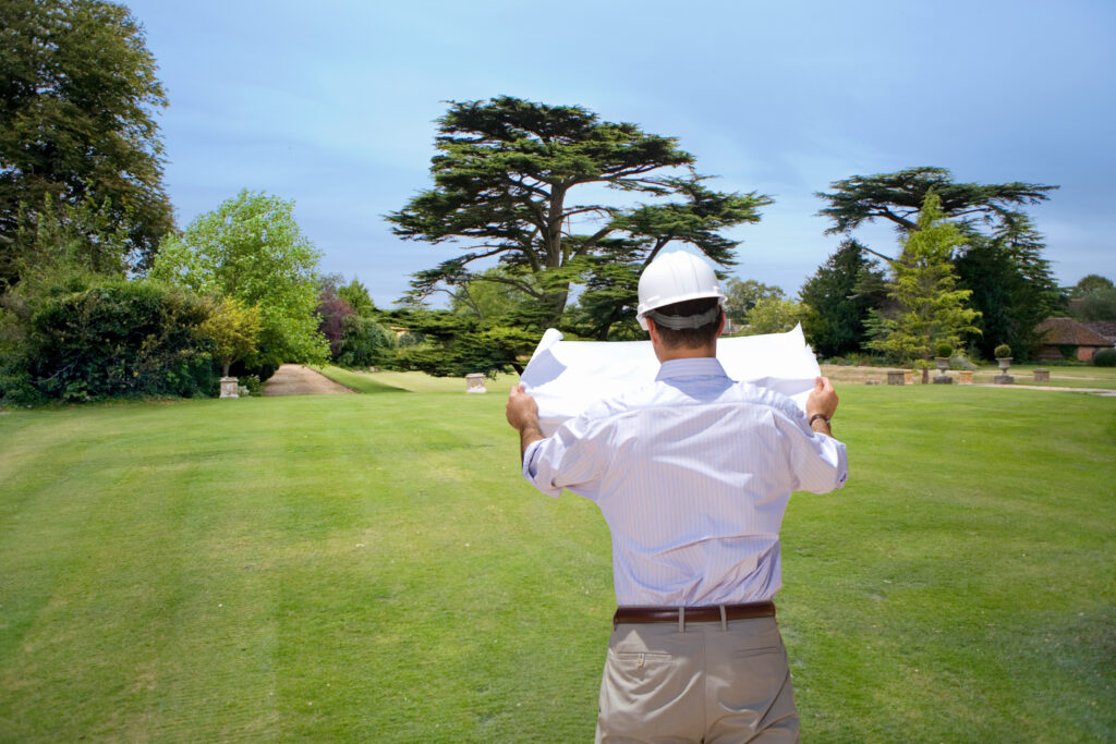Why Developers Choose a Specimen Tree Company -
