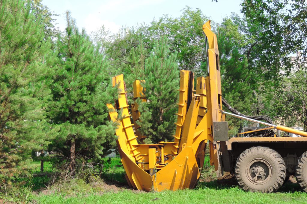 Professional crew relocating a large mature tree using advanced equipment at a construction site.
