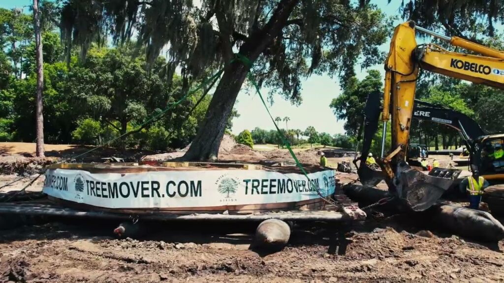 What Makes a TPC Course Special? The Design and Landscape Behind TPC Sawgrass 3 What Makes a TPC Course Special? The Design and Landscape Behind TPC Sawgrass -
